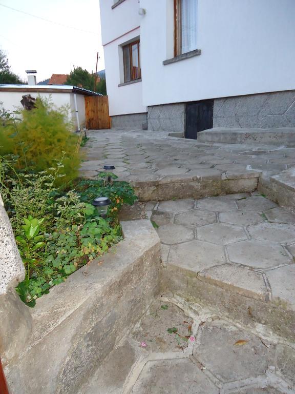 Mala Tsŭrkva Guest House Ahp חדר תמונה