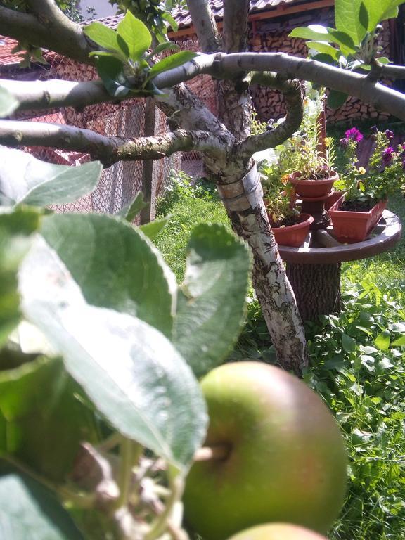 Mala Tsŭrkva Guest House Ahp מראה חיצוני תמונה