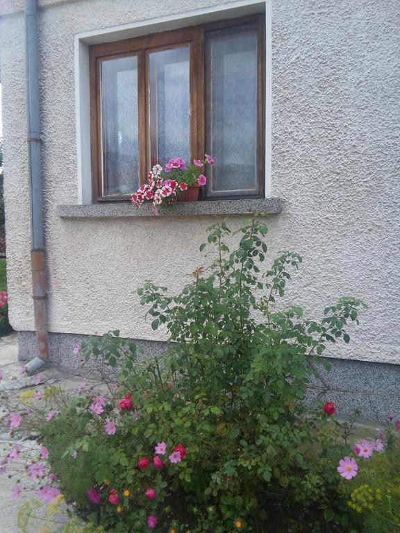 Mala Tsŭrkva Guest House Ahp חדר תמונה